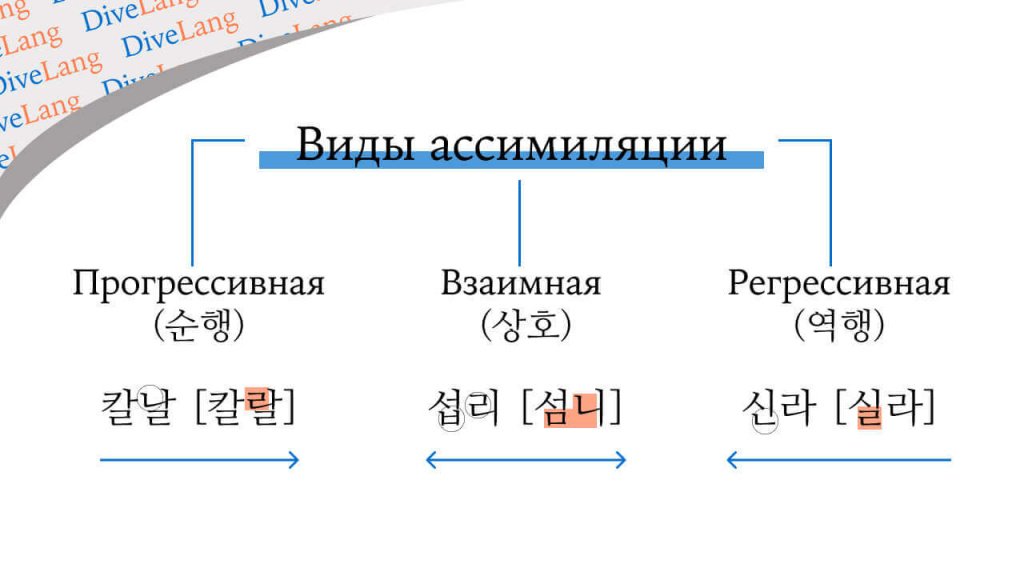 виды ассимиляции на корейском