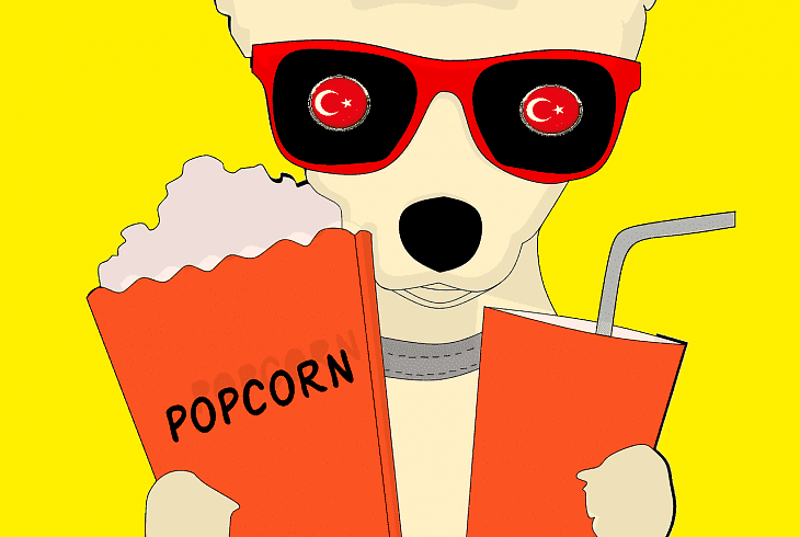 Подборка фильмов и сериалов для обучения турецкому